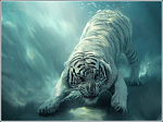 1241362580 tiger by grafartclub